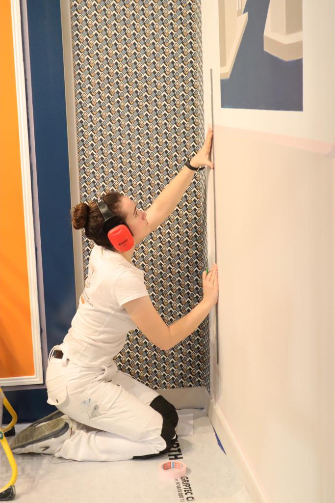 Tiphaine LEBEAU compétition WorldSkills Régional mars 2025 - médaille d'argent peinture et décoration
